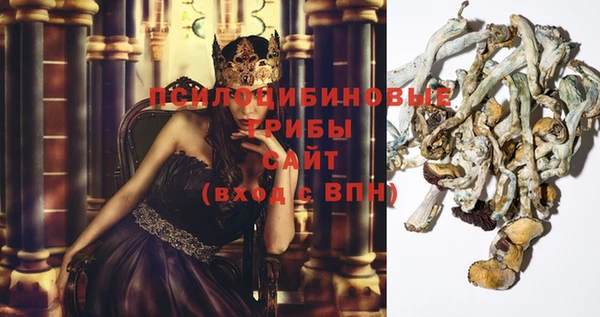 МДПВ Алзамай