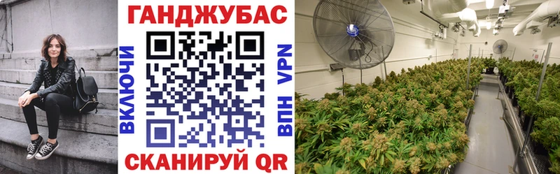 Шишки марихуана гибрид  МЕГА зеркало  Фатеж 